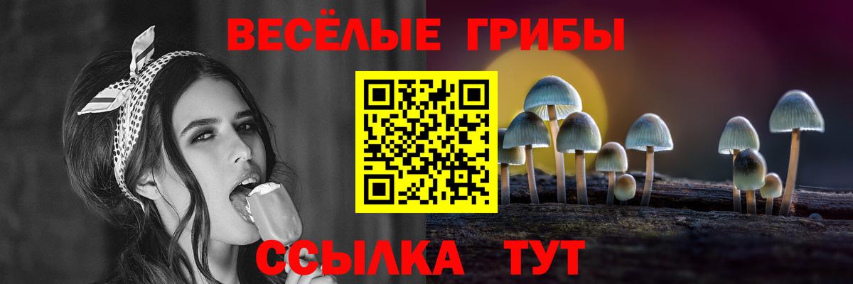 Галлюциногенные грибы MAGIC MUSHROOMS  Вход с VPN  Северобайкальск 